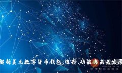 全面解析美元数字货币钱包：选择、功能与未来