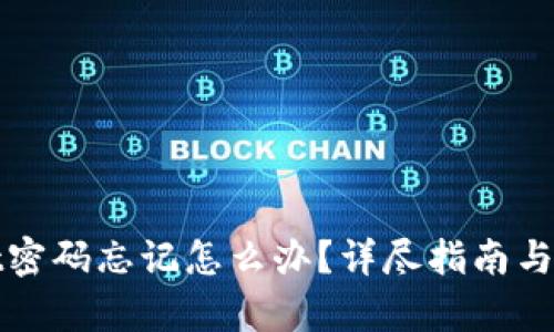 tpWallet密码忘记怎么办?详尽指南与解决方案