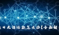数字钱包还款日无法还款怎么办？全面解析及解
