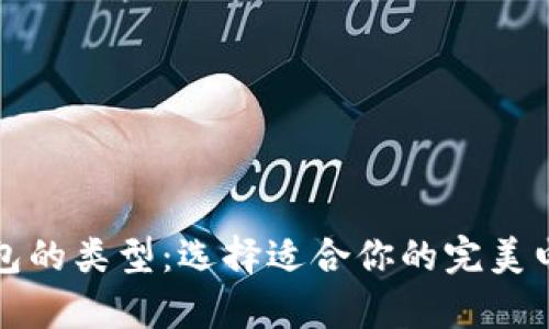 全面解析数字钱包的类型:选择适合你的完美电子支付解决方案