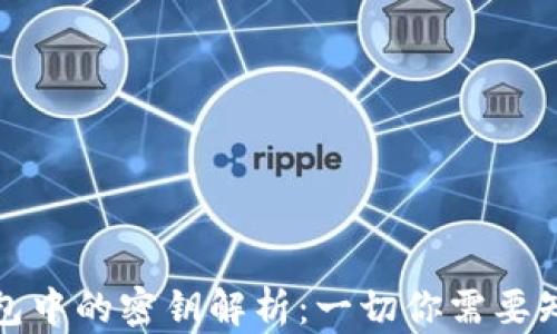
区块链钱包中的密钥解析：一切你需要知道的内容