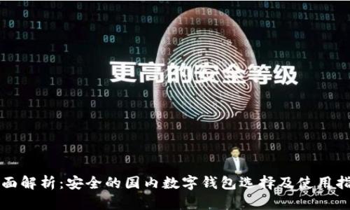 全面解析：安全的国内数字钱包选择及使用指南
