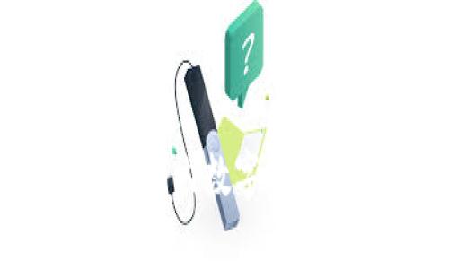 全面解析：安全的国内数字钱包选择及使用指南
