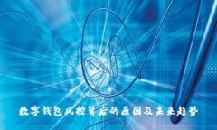 数字钱包风控背后的原因及未来趋势