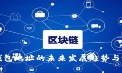 比特币数字钱包地址的未来发展趋势与潜在挑战